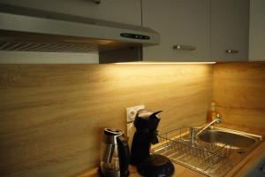 Logement neuf - cœur de ville