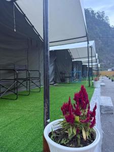 Divine Ganga Retreat