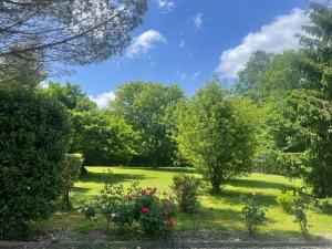 Villas Villa entre bordeaux et saint emilion : Villa 1 Chambre