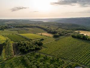 Amazing Villa ALMA Infinity POOL, PADEL Court, Jacuzzi