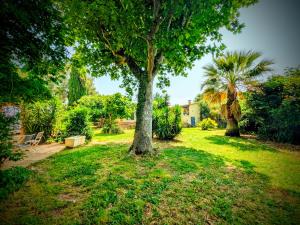 Appartements Le Gite d'Entressen studio Piscine Jeux & Petanque Istres Miramas : photos des chambres