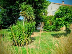 Appartements Le Gite d'Entressen studio Piscine Jeux & Petanque Istres Miramas : photos des chambres