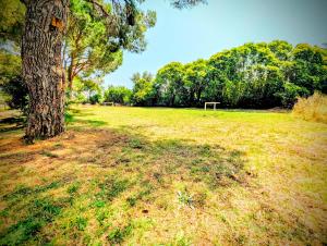 Appartements Le Gite d'Entressen studio Piscine Jeux & Petanque Istres Miramas : photos des chambres