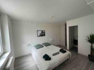 F2 Independent new city center Epône