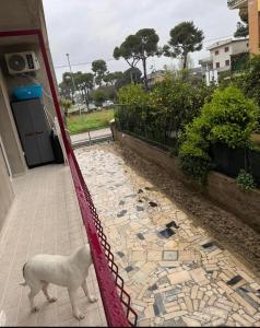 Trilocale a pochi passi dal mare