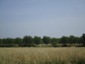 Gite 15 personnes, Bastide en Provence