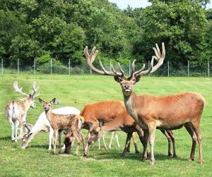Stylish Dublin Coastal Home As Seen on TV