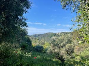 Chalets Le chalet du Reveur : photos des chambres