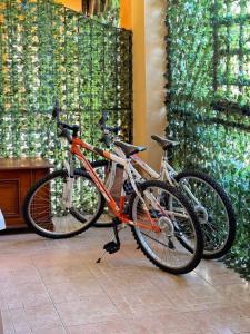 Dimora Marina - con giardino img21