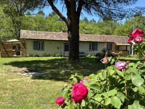 Maisons de vacances Le gite de mia : photos des chambres
