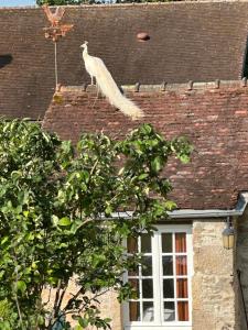B&B / Chambres d'hotes Le moulin de Saint Germain : photos des chambres