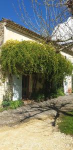 B&B / Chambres d'hotes Mas1850 en Drome provencale : photos des chambres