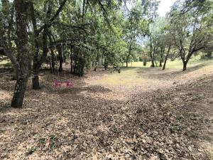 Maisons de vacances Maison Etona : photos des chambres
