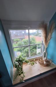 Spring Lodge - La grange aux quatres saisons - Pairi Daiza