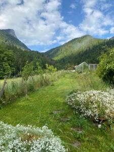 Maisons de vacances Logement individuel 3 pieces dans chalet : photos des chambres