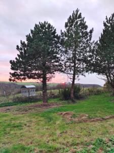 Campings Roulotte avec vue sur la mer, proche d'Etretat : photos des chambres