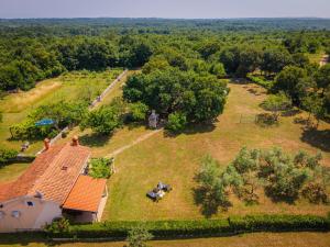 Lijana in Bratulići (Haus für 4 Personen)