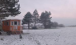 Campings Roulotte avec vue sur la mer, proche d'Etretat : photos des chambres