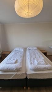 Double Room with Shared Bathroom room in Hotel Húni
