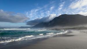 Shutters on Hilltop, Scarborough