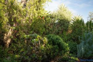 Shutters on Hilltop, Scarborough
