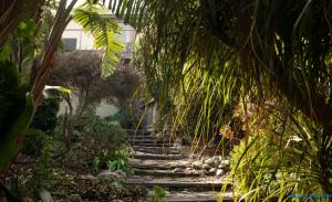 Shutters on Hilltop, Scarborough
