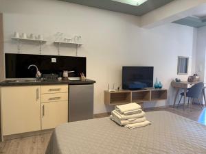 Ofrinio central apartment