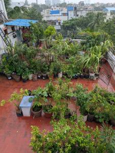 Carbon Stays - Couples & Travelers Friendly Stay