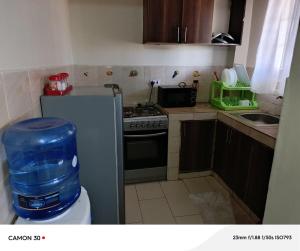Lady D apartment