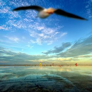 Crescent Royale Condominiums 300