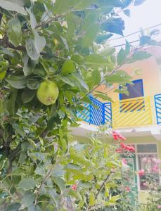 Buddies Stay Café Community