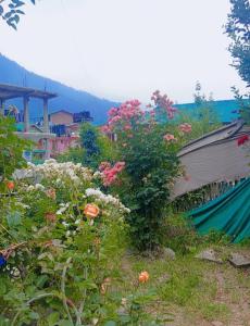 Buddies Stay Café Community