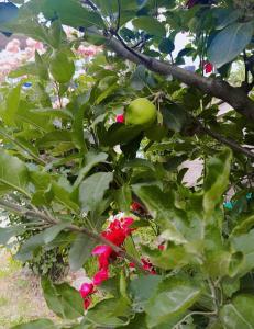 Buddies Stay Café Community