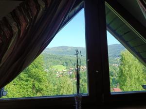 Family Relax Widoki