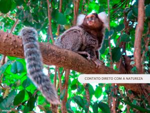 Chalé Completa com Cozinha e Estacionamento! Rio Privativo no quintal e Piscina I Descanse e Aproveite I 18 min do centro de Paraty e Praias
