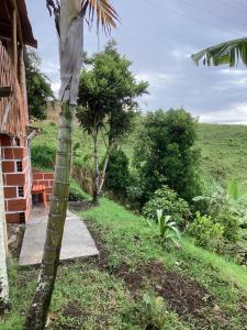 Hostal las Hamacas ,Apartestudio Privado #3