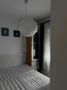 Nefelejcs-el vendeghaz