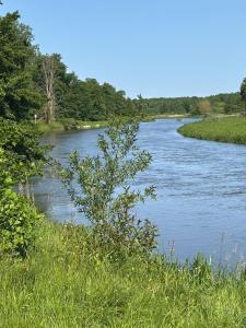 Siedlisko nad Wieprzem