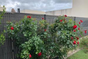 Maisons de vacances Pleasant modern house t4 airco pool jacuzzi parking : photos des chambres