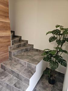 Mountain apartments on Liptov!