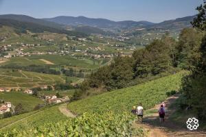 Maisons de vacances Le Colombier Typique & Proche Pistes cyclables : photos des chambres
