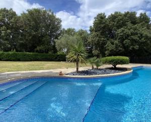 Appartements Mas de Cala, gites detente au Pic Saint Loup : photos des chambres