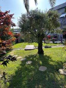 B&B / Chambres d'hotes La Petite Mer : photos des chambres