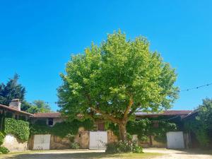 La maison d’Emilie