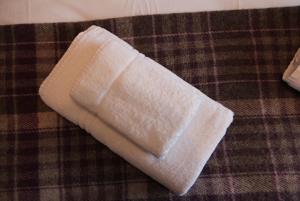 Charming St Davids Cottage with Cathedral Views