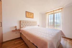 Big Hill Apartment 2