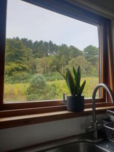 1 Bed Apartment Inverness with City Views