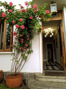 Appartements Le Voltaire #Parking#Terrasse#Hypercentre : photos des chambres