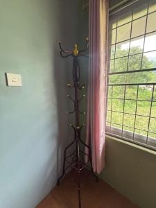 Unmani Yoga Retreat Pokhara