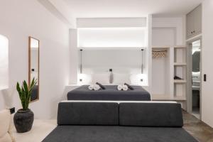 Nysa Kea - A Cycladic House